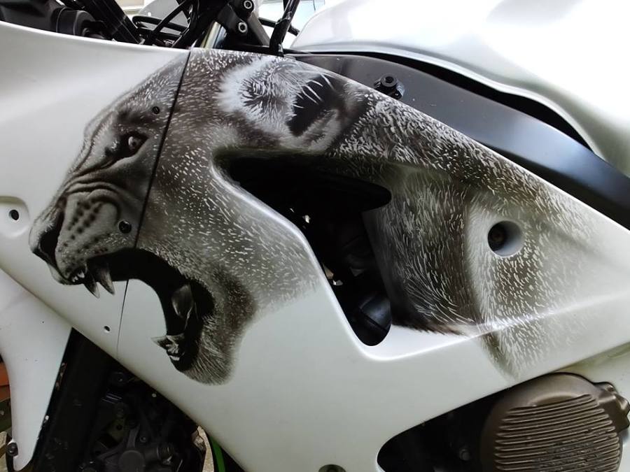 Airflow Painting Custom Painting Dublin Ireland httpairflowpainting.com custom painted bike helmet guitar Airbrush Artist Airbrushing Design customized art work paint job 